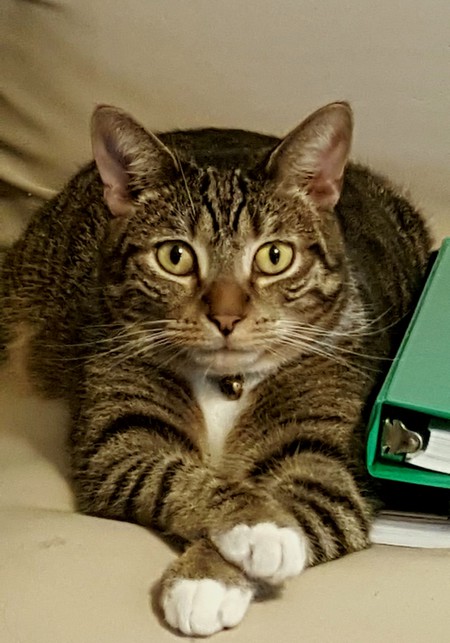 Ludacris