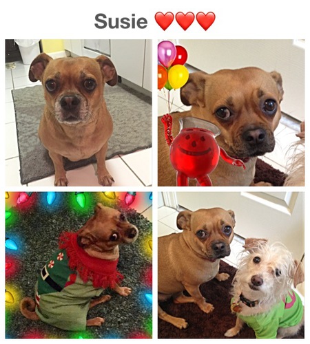 Susie