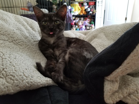 Nyssa Beloved