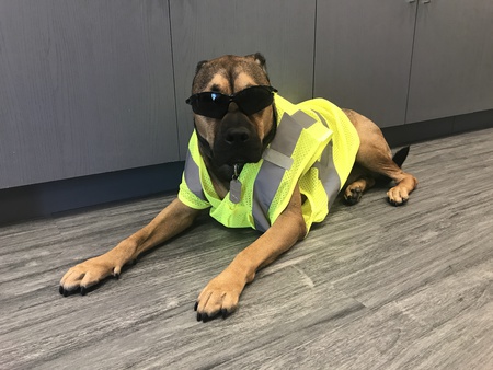 Jax