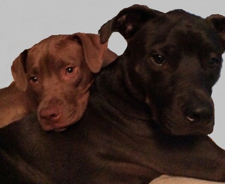 Chloe & Ollie