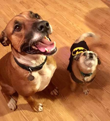 Max and Colonel