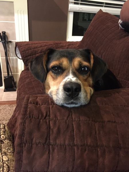 Benson