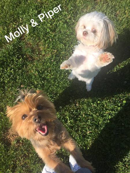 Piper and Molly