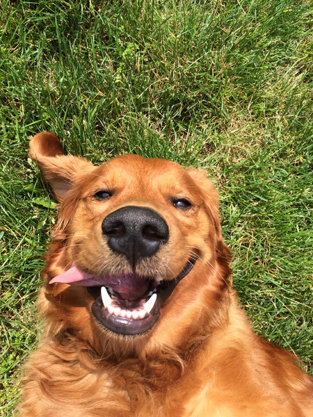 Abby 