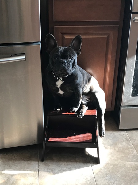 Diesel 