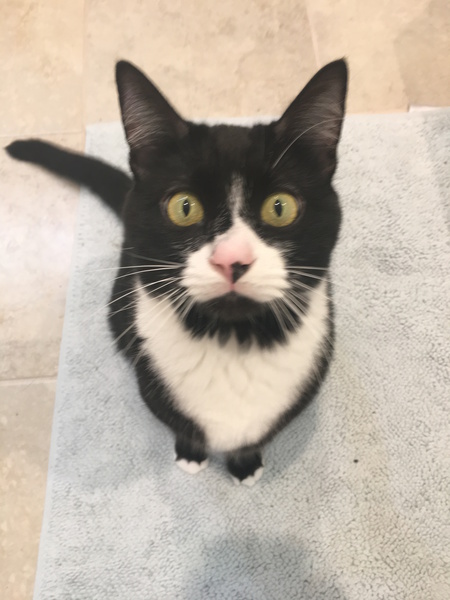 Jet