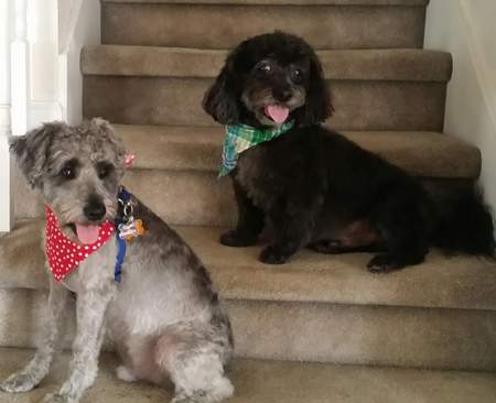 Buddy Figg and Max Figg