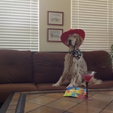 Entry image for Cracker Jack