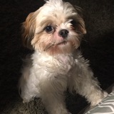 Entry image for Co co