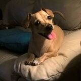 Entry image for Ellie Mae