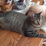 Entry image for Otto and Ava