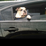 Entry image for Bentley