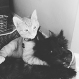 Entry image for Sammy & Haylin