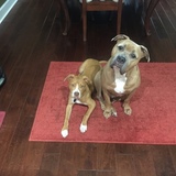 Entry image for Maggie