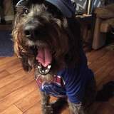 Entry image for Wrigley