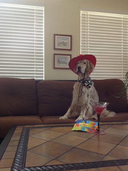 Entry image for Cracker Jack. Clicking this image will show a larger photo