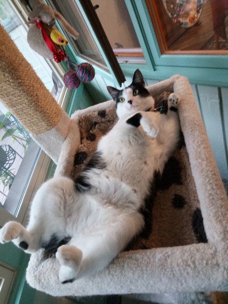 Entry image for Sherry. Clicking this image will show a larger photo