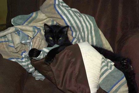 Entry image for Cole. Clicking this image will show a larger photo