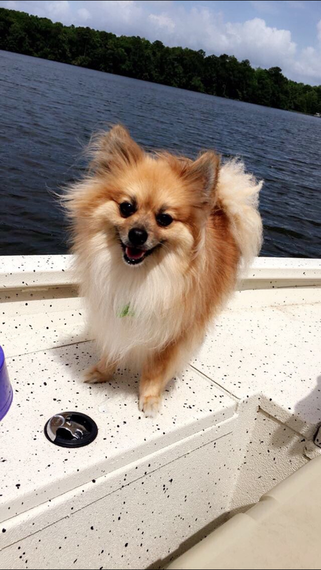 Entry image for Tobi. Clicking this image will show a larger photo