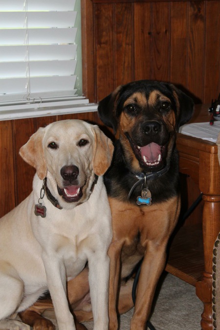 Entry image for Little Bear and Isabella. Clicking this image will show a larger photo