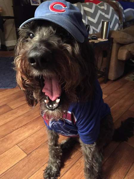 Entry image for Wrigley. Clicking this image will show a larger photo