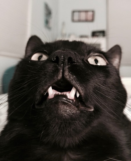 Ink
