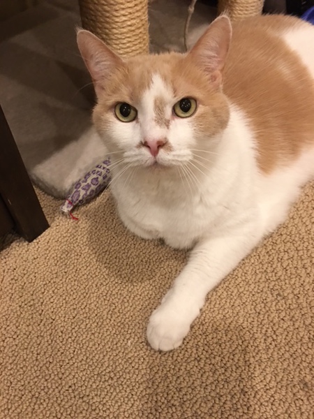 Tucker