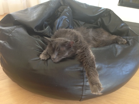 Greebo