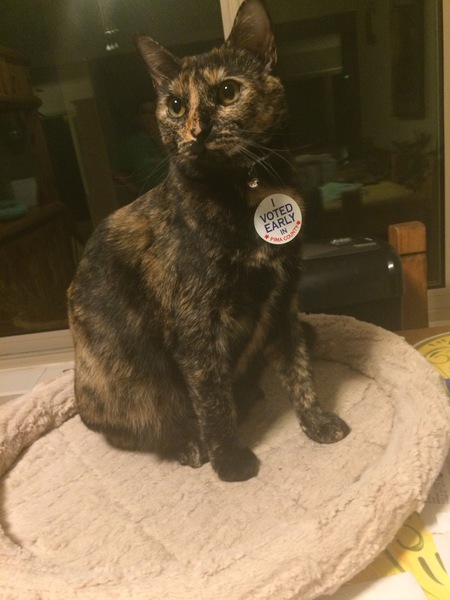 Khaleesi
