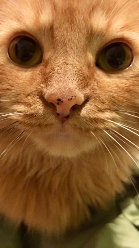 Nadia