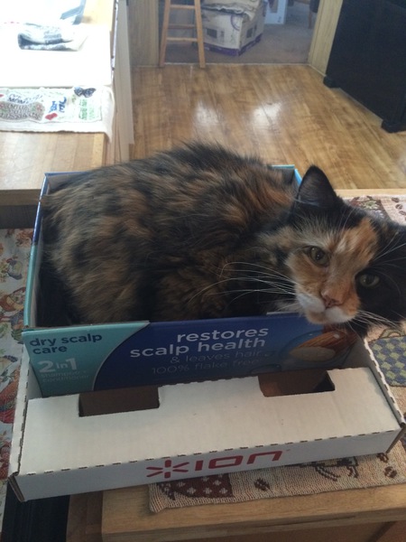 Delilah