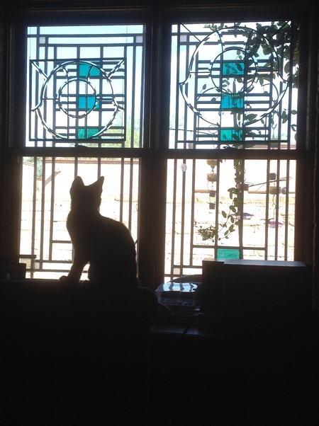 Miss Tillie