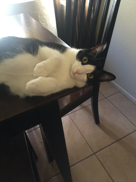 Roscoe 