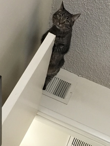 Rita