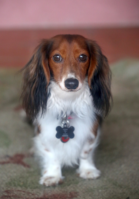 BUSTER
