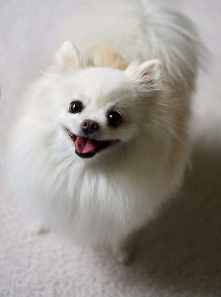 Spike