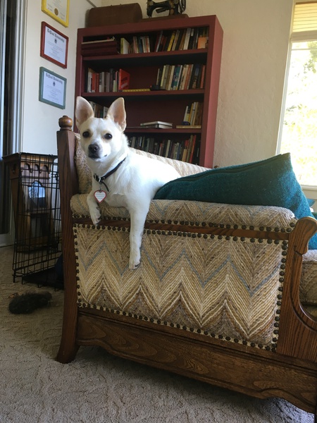Buckminster (adopted from SCCAS 1/2017)