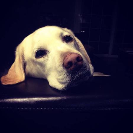 Tess