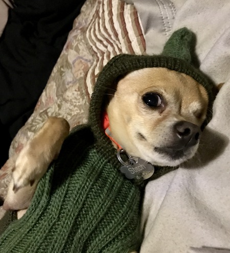 Stitch