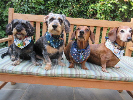 left to right: Helmut, Dieter, Axle and Pieper