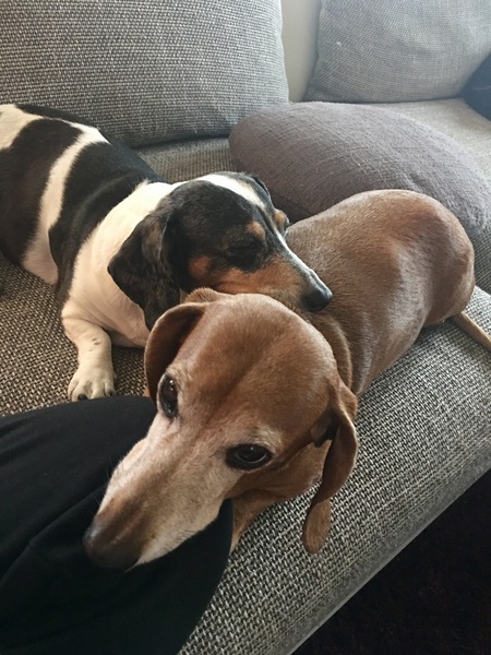 Frankie and sophie