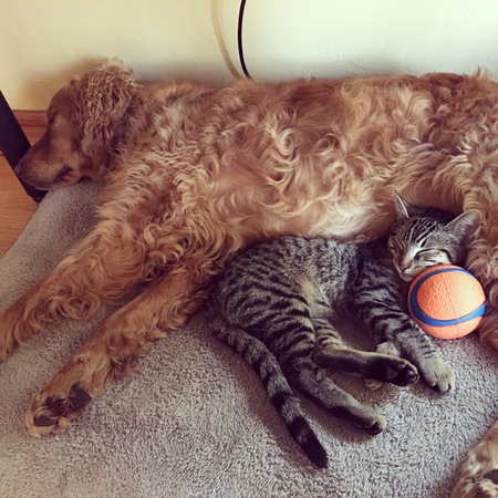 Scout and Seymour