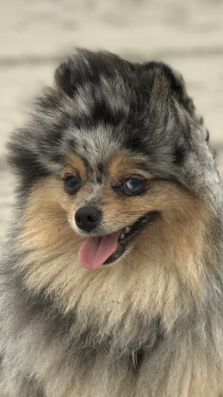 Luna