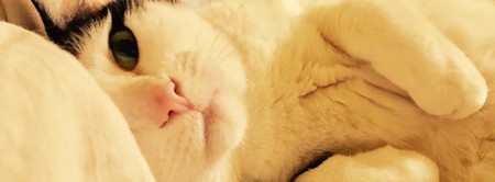 Mimi