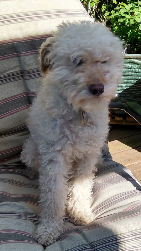 Murphy