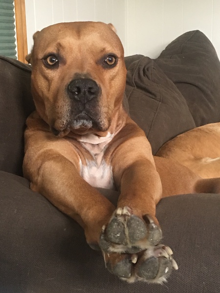 Benny