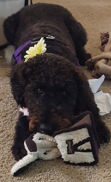 Bernadette
