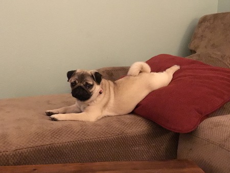Lily