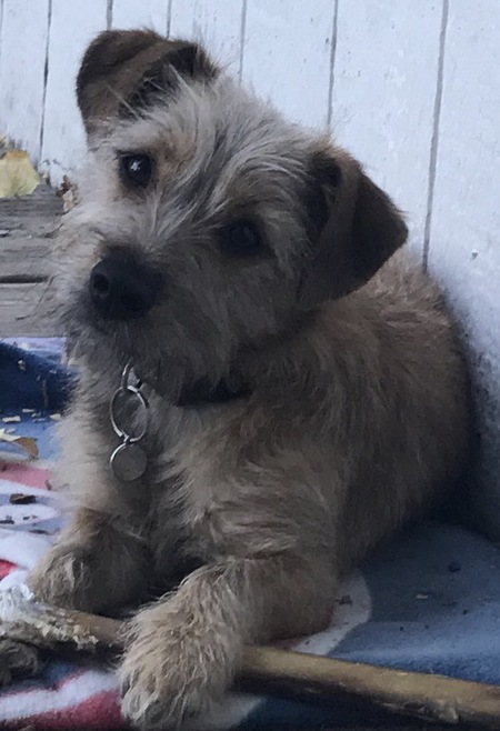 Leroy 